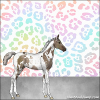 Horse Color:White Spotted Silver Brown Dun Tobiano Rabicano