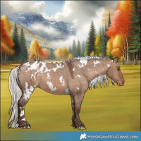 Horse Color:White Spotted Silver Brown Dun Appaloosa 