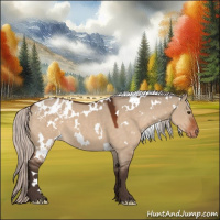 Horse Color:White Spotted Silver Brown Dun Appaloosa 