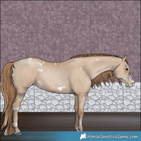 Horse Color:White Spotted Grullo Pearl Splash 