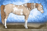 Horse Color:White Spotted Grullo Pearl Splash 