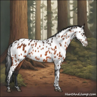 Horse Color:Bay Near Leopard 
