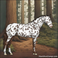 Horse Color:Liver Chestnut Near Leopard 