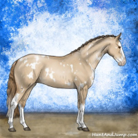 Horse Color:White Spotted Grullo Pearl Splash 