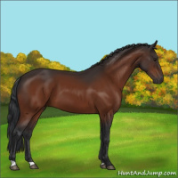 Horse Color:Brown 