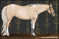 Horse Color:Silver Blue Roan Pearl Tobiano Frame 