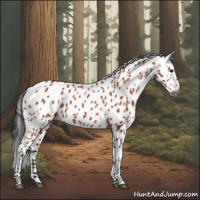 Horse Color:Gray Bay Leopard 