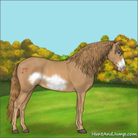Horse Color:Chestnut Frame 