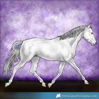 Horse Color:Gray Gold Champagne Near Leopard  and Gray Gold Champagne Near Leopard 