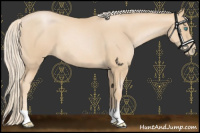 Horse Color:Palomino Pearl