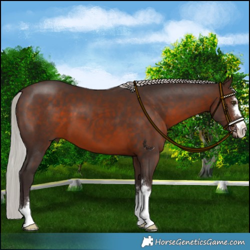 Horse Color:Silver Brown