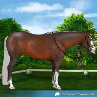 Horse Color:Silver Brown 