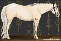 Horse Color:Palomino Pearl Snowflake Varnish