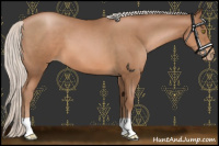 Horse Color:Silver Brown Pearl 