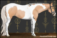 Horse Color:Silver Bay Pearl Tobiano 
