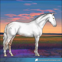 Horse Color:Gray Gold Champagne Tobiano Near Leopard  and Gray Gold Champagne Near Leopard 