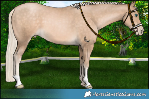 Horse Color:Chocolate Palomino Pearl