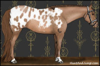 Horse Color:Brown Pearl Blanket Rabicano