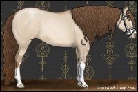 Horse Color:Brown Pearl Dun Sabino 