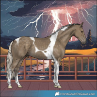 Horse Color:Silver Smoky Black Tobiano 