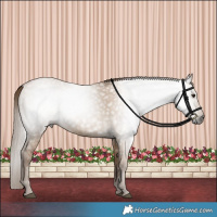 Horse Color:Gray Grullo Pearl