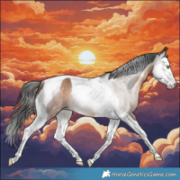 Horse Color:Gray Amber Champagne Splash Tobiano Rabicano 