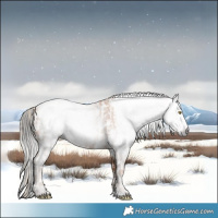 Horse Color:Gray Gold Champagne Appaloosa and Gray Amber Champagne Appaloosa