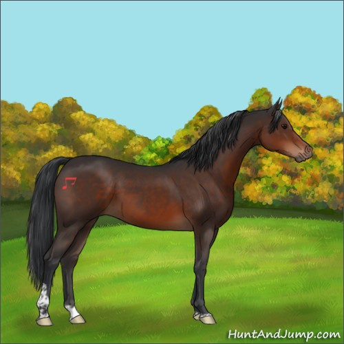Horse Color:Brown Tobiano Rabicano 
