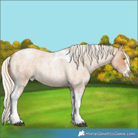 Horse Color:Silver Blue Roan Pearl Tobiano Frame 