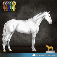 Horse Color:Gray Gold Champagne Appaloosa  and Gray Gold Champagne Appaloosa 