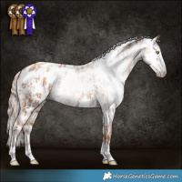 Horse Color:Gray Gold Champagne Appaloosa  and Gray Gold Champagne Appaloosa 