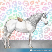 Horse Color:Gray Gold Champagne Dun Near Leopard  and Gold Champagne Dun Near Leopard 