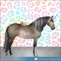 Horse Color:Brown Dun and Gray Brown Dun