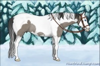 Horse Color:Smoky Grullo Splash Tobiano Rabicano