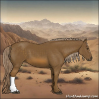 Horse Color:Chocolate Palomino 