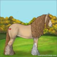 Horse Color:Red Dun 