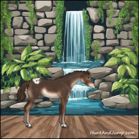 Horse Color:Liver Chestnut Appaloosa