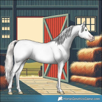 Horse Color:Gray Gold Cream Champagne Appaloosa  and Gray Cremello Appaloosa 