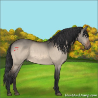 Horse Color:Bay Dun 