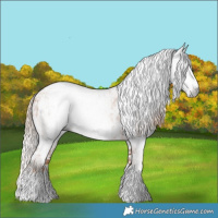 Horse Color:Gray Gold Champagne Near Leopard and Gray Gold Champagne Near Leopard