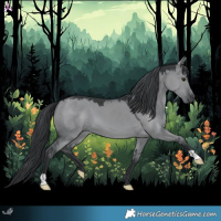 Horse Color:Grullo Chinchilla 