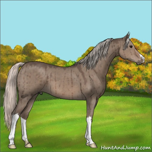 Horse Color:Silver Grullo Brindle 