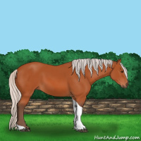Horse Color:Silver Bay Tobiano 
