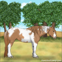 Horse Color:Chestnut Tobiano Frame 
