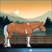 Horse Color:Silver Bay Tobiano