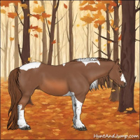 Horse Color:Chestnut Tobiano 
