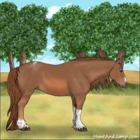 Horse Color:Chestnut Tobiano Frame 