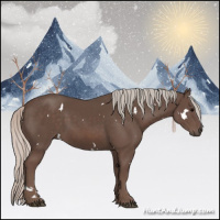 Horse Color:White Spotted Silver Black 