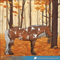 Horse Color:White Spotted Silver Brown 
