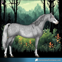 Horse Color:Silver Grullo Chinchilla Splash 